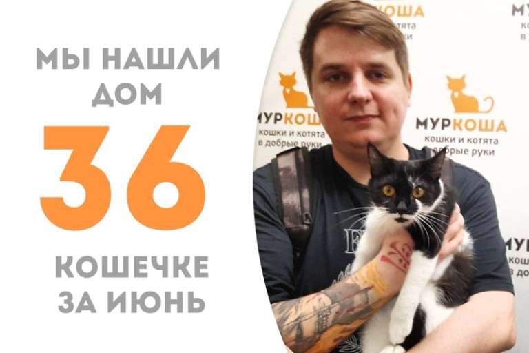 Маниша нашла своего человека и стала домашней меньше, чем за 2 месяца!