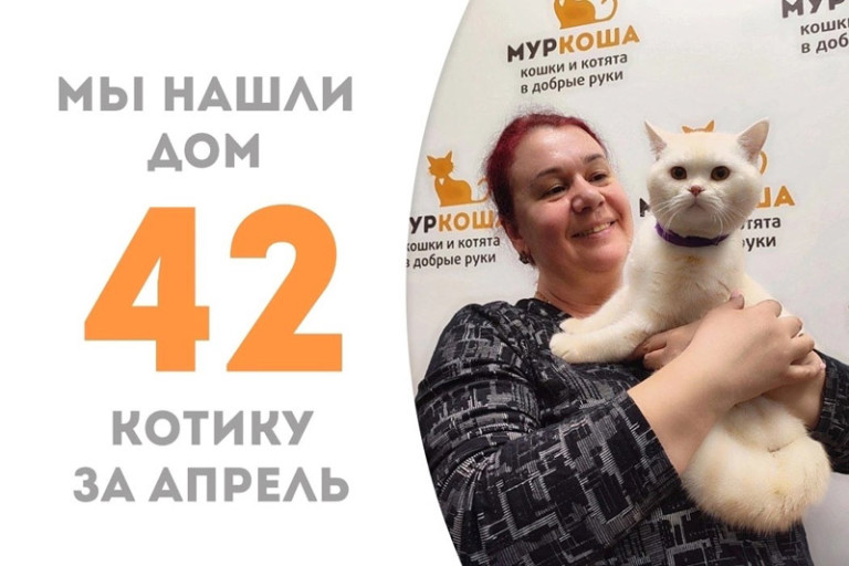 Плюшевый Марсианин стал домашним за два месяца!