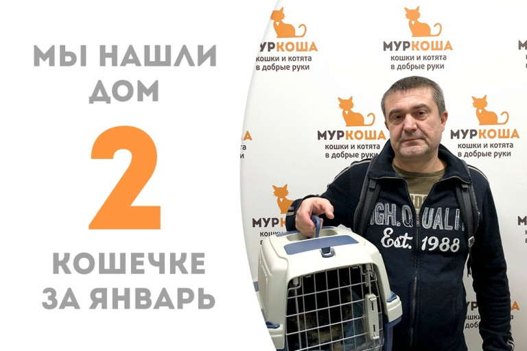 Восьмилетняя кошечка по имени Маска стала второй счастливицей 2023 года!