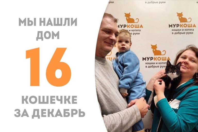 Через 3,5 месяца Маслинка попрощалась с приютом и отправилась домой!