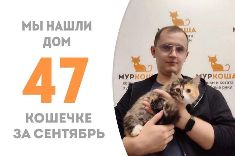 Мицури обрела дом!