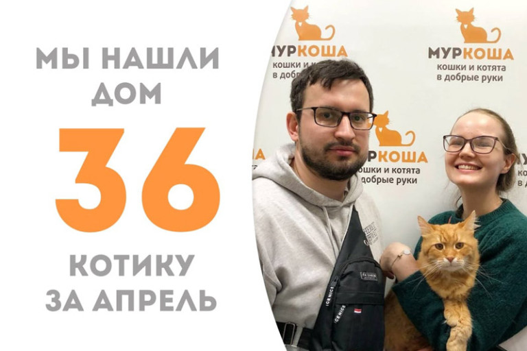 Михаил снова стал домашним, потому что встретил свою настоящую семью!