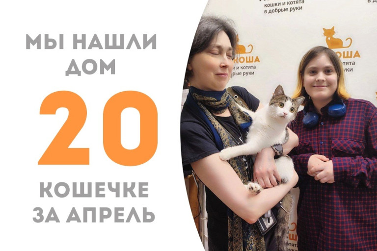 Кошечка Минзи стала домашней за два месяца!