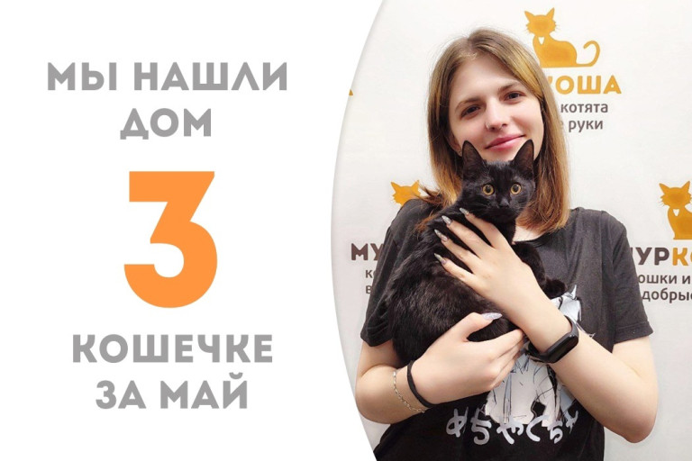Митенка нашла семью, в которой её ждёт наша выпускница Лафонтена!