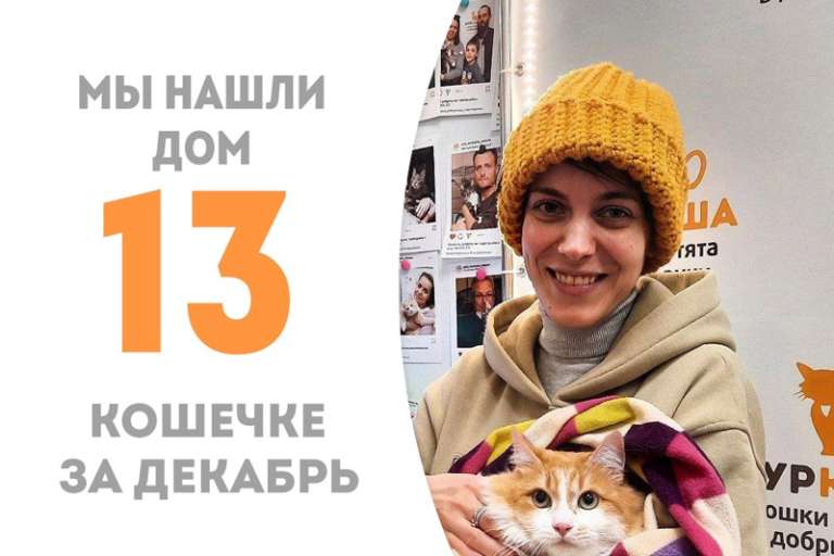 Меньше двух месяцев понадобилось Митральезе, чтобы снова стать домашней!