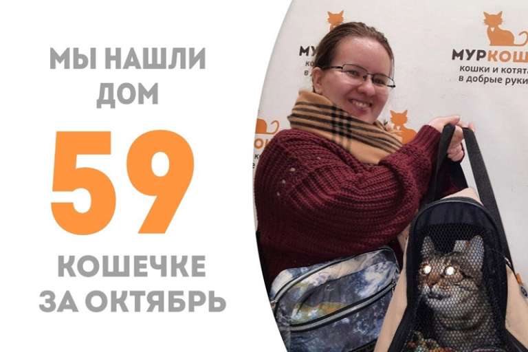 Модаша стала домашней любимицей!