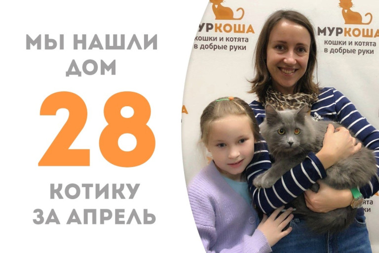 Котик Мотя Пухов стал частью прекрасной семьи всего через два месяца!