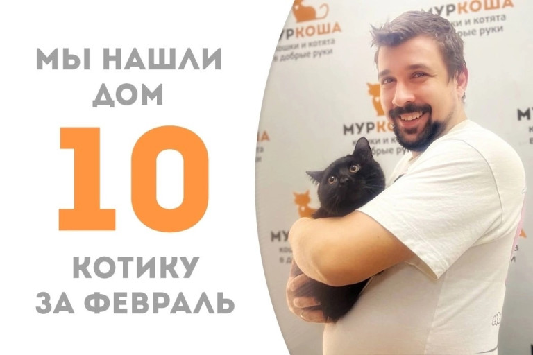 Чернобровый Мучачо отправился домой!