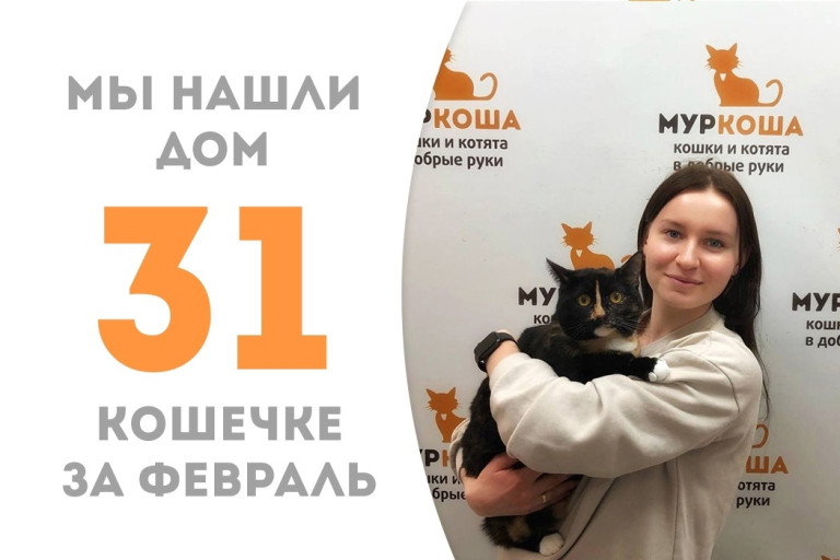 У прекрасной кошечки Муримэ появилась чудесная хозяйка!