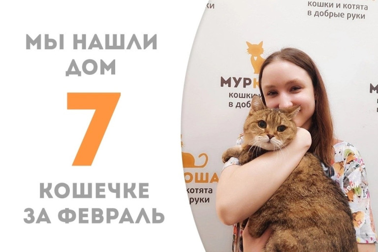 Кошка Муська обрела новую семью!