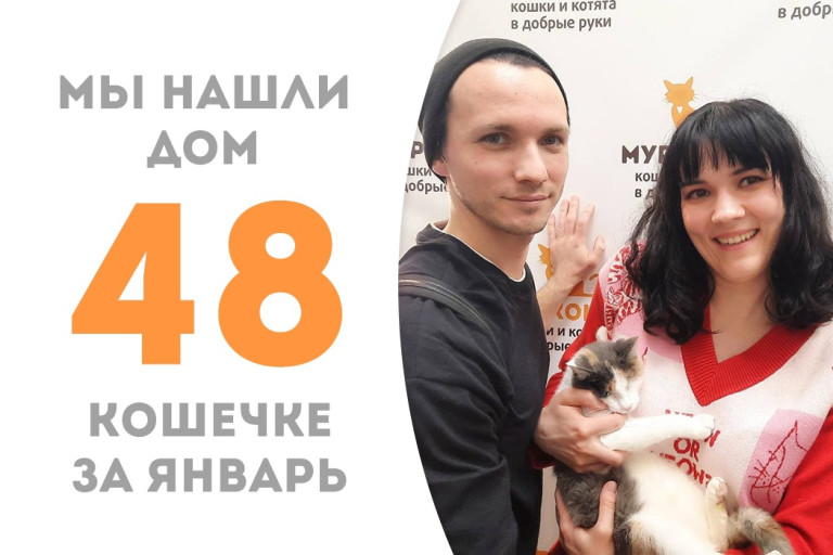 Особенная малышка Наффи с трудным детством стала домашней кошечкой!