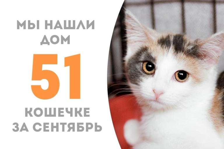 Всего через 1,5 месяца Нахиде улыбнулась удача!