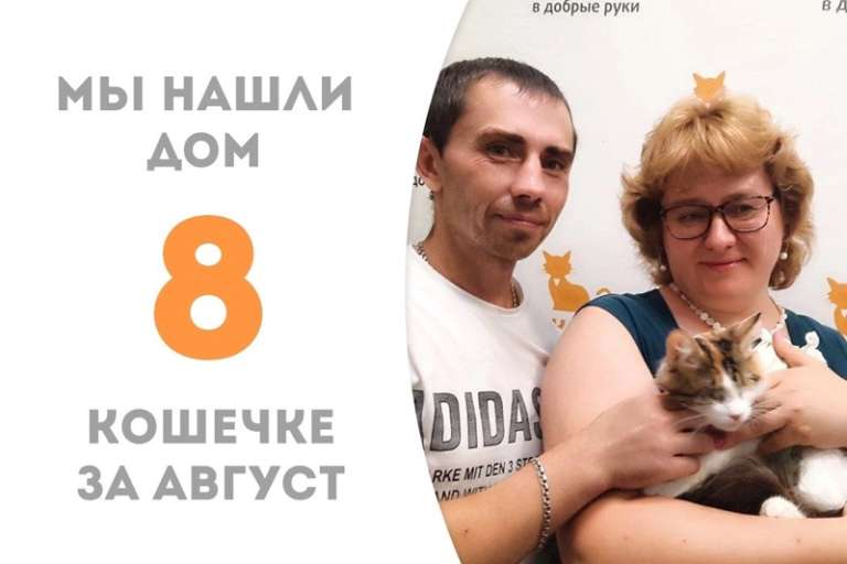 Ниффи нашла своих людей и едет домой!