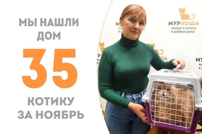 Нотти теперь домашний!