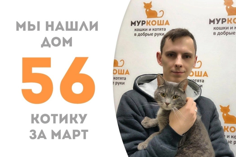 Кот Одинс встретил своего хозяина!