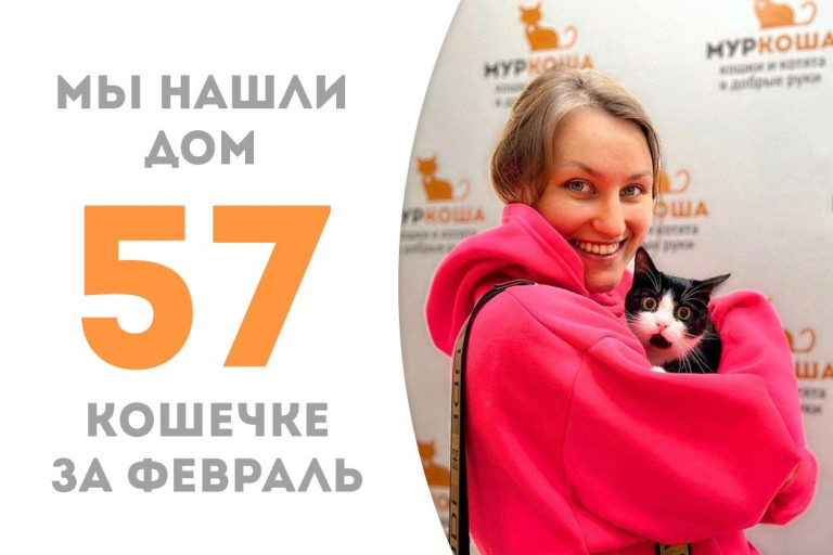 Кошечка Патрикия начинает свою домашнюю историю!