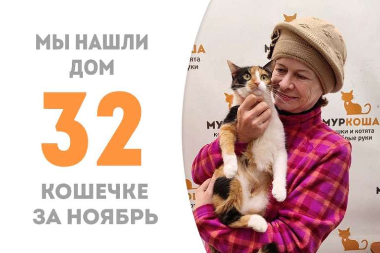 Петелька стала домашней!