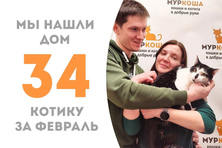 Котик Пейтон стал частью прекрасной семьи!