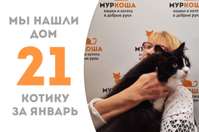 Четырёхлетний котик Пипс встретил в Рождество свою будущую хозяйку и уехал домой!