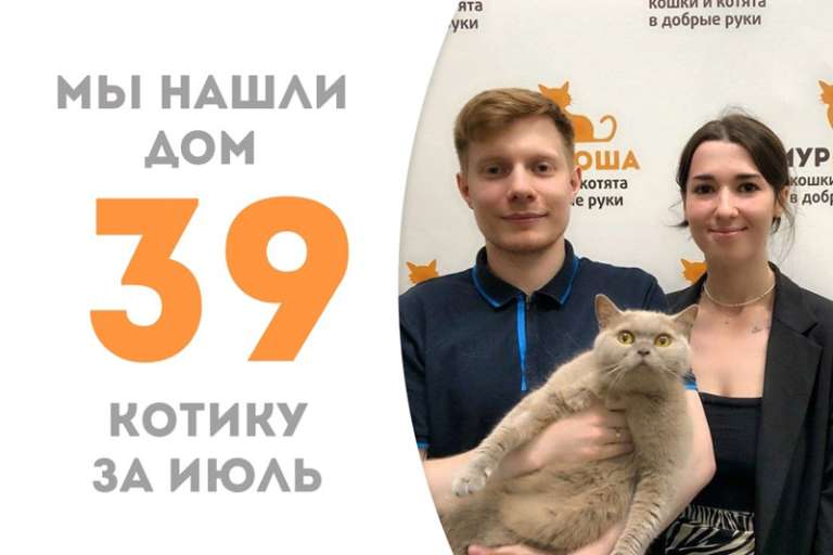 Всего месяц понадобился Плумкоту, чтобы стать по-настоящему домашним!