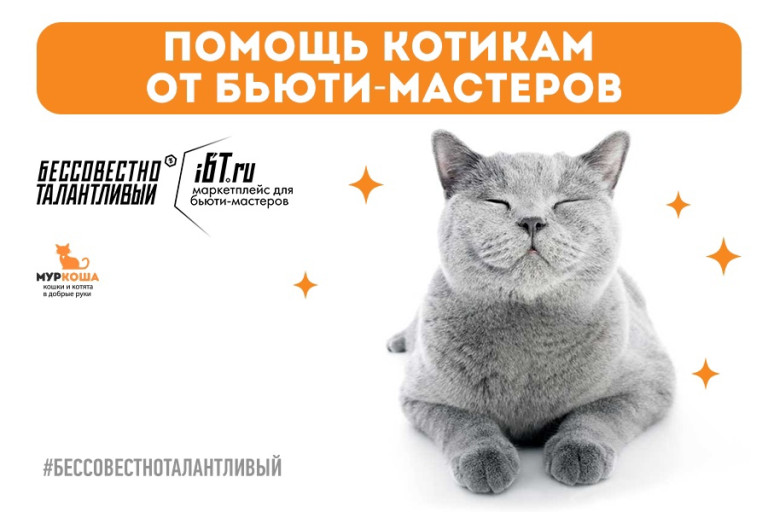 Завершение акции от маркетплейса iBT
