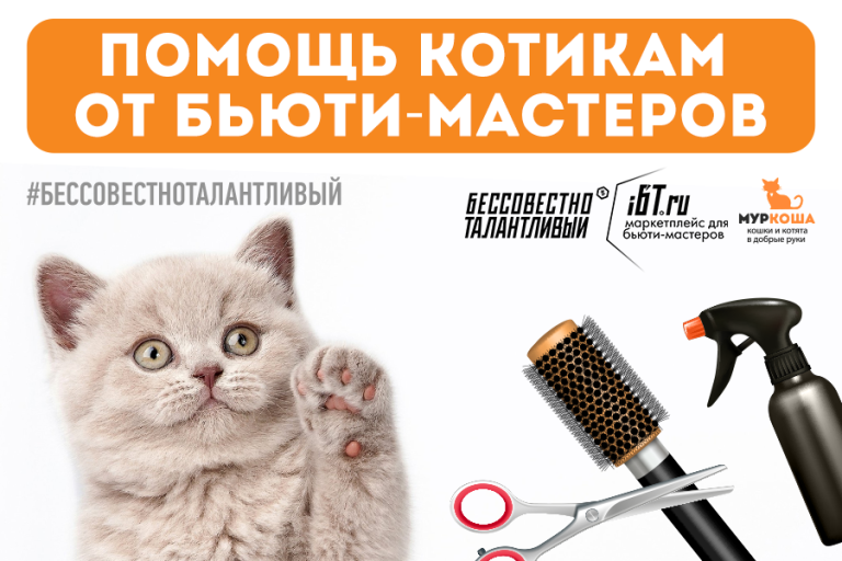 Творить красоту - с заботой о котиках!
