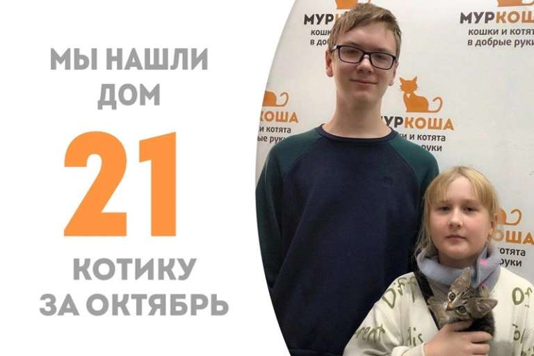 Всего за 2 недели Принглс становится домашним!