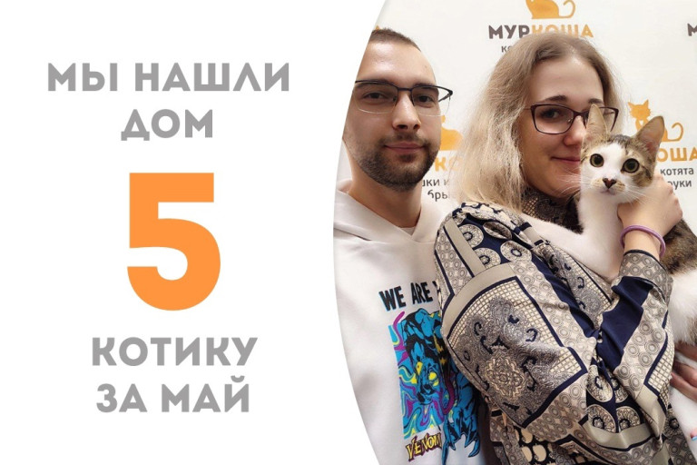 У котика Пуфика теперь есть дом и семья!