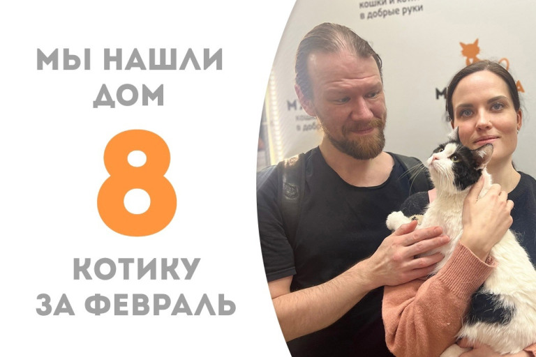 Пятилетний кот Пухлячок отправился в новую домашнюю жизнь!