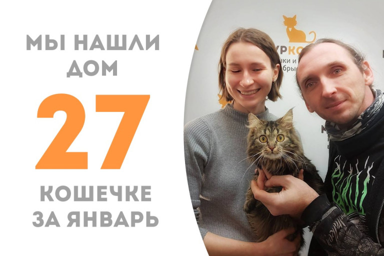 Кошечке Пушке потребовалось менее трёх месяцев, чтобы найти новую семью!