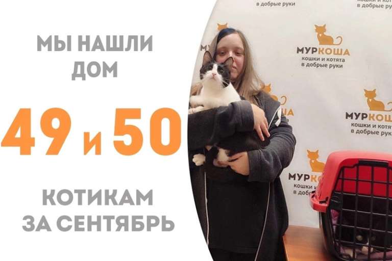 Ракета и Йоши вместе устремляются в домашнюю жизнь!