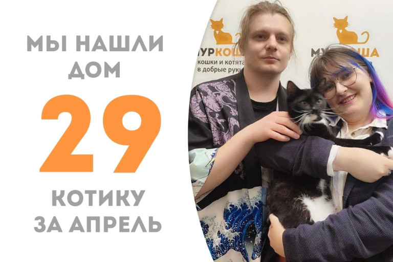 Котик Рейстлин нашёл своих людей и настоящую семью!
