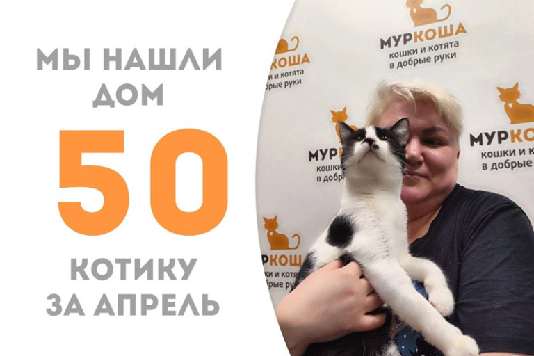 Котик Рорк стал домашним и счастливым!