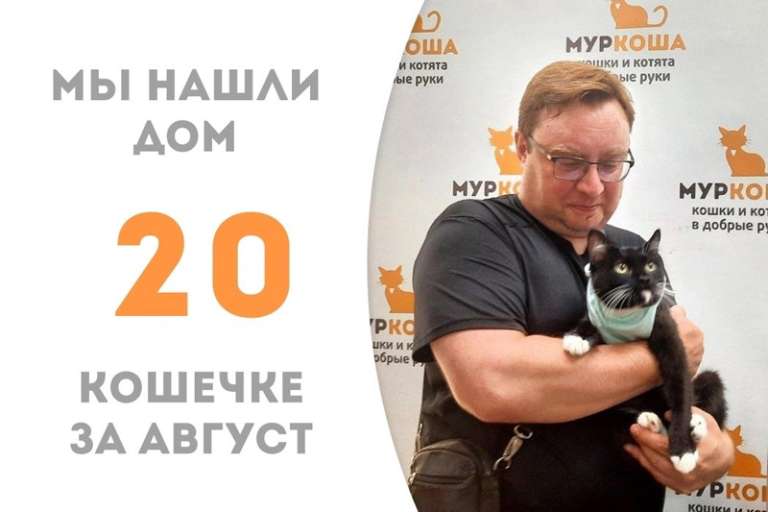 Менее 1,5 месяца понадобилось, чтобы Сафана стала домашней!