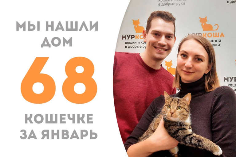 Юная кошечка Саламандра встретила своих людей и утарахтела домой!