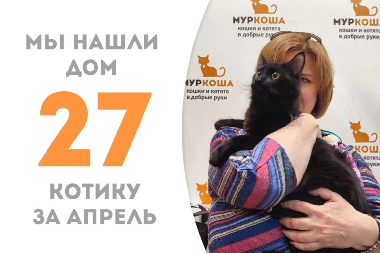 Прошло всего два месяца, а котик Сажик нашёл себе семью, да не простую – с нашей выпускницей Валюшкой!
