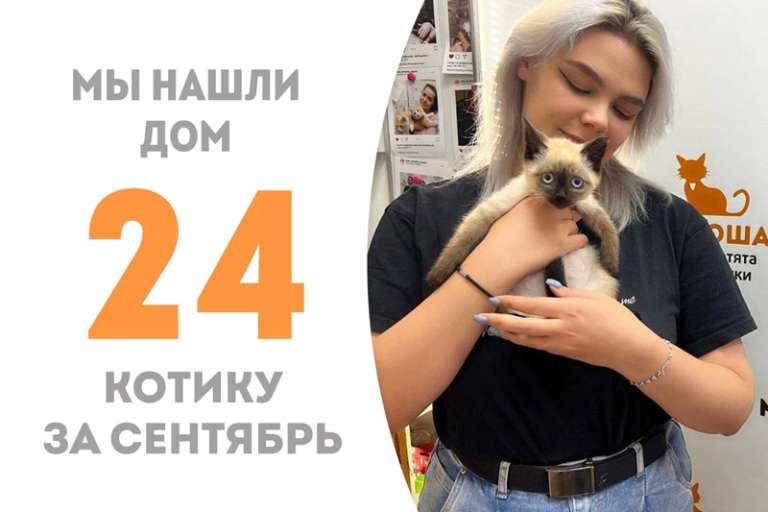 Сенеж в рекордные сроки – всего за два дня – становится домашним!