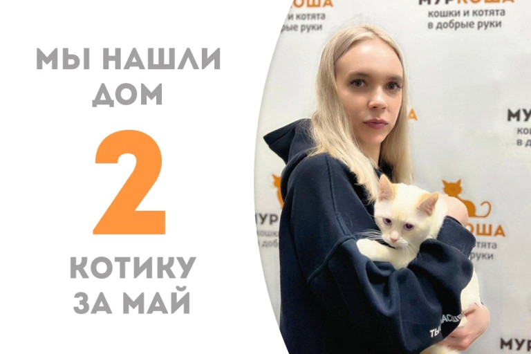Севело стал домашним!