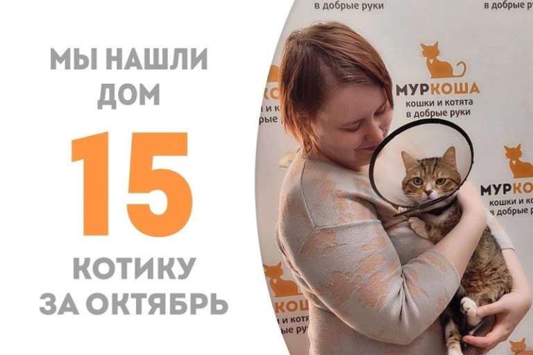 Чуть меньше двух месяцев понадобилось Шабтаю, чтобы встретить своего человека!