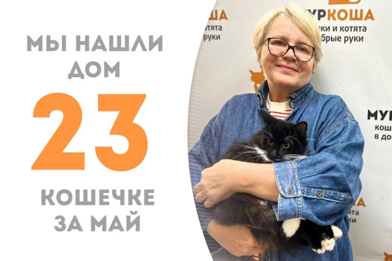 Шаддад нашла семью и стала домашней!