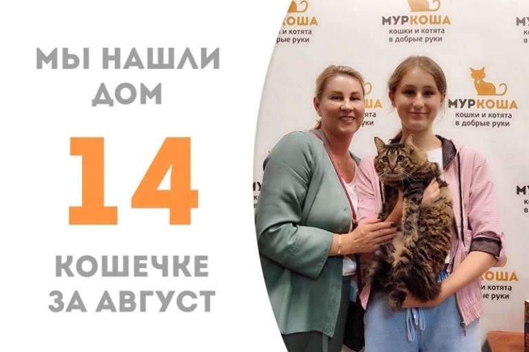 Шипулька дома вместе с любимой семьёй!