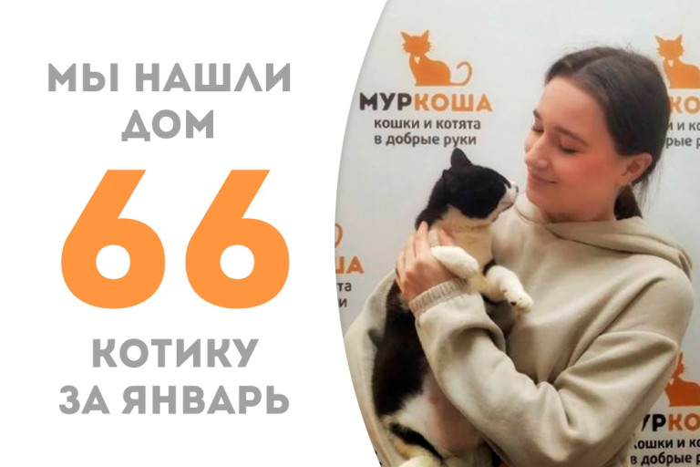Особенный котичек Шишик стал домашним любимчиком!