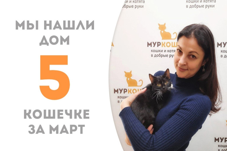 Меньше двух месяцев понадобилось котёнку Шоколадке, чтобы обрести дом!