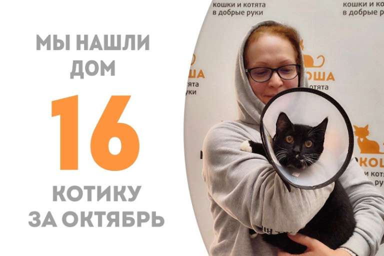 Чуть больше трех месяцев прошло, а Шпинат обрел дом!