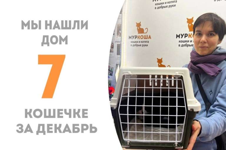 Шушка отправляется домой!