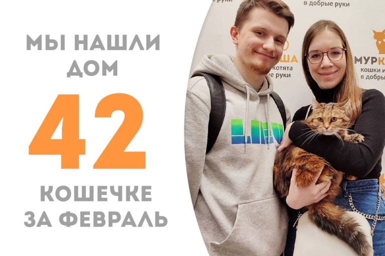 Кошечка Сиракуза начинает жизнь с чистого листа!