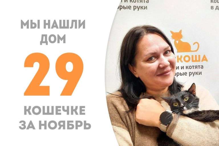 Милая Сиренюшка спешит в домашние уюты!