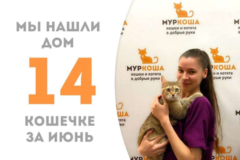Сопрано нашла своих верных поклонников, она стала домашней!