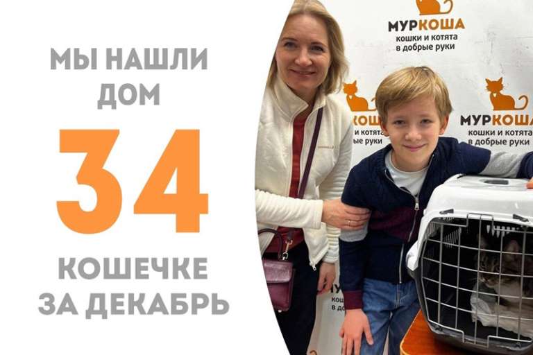 Таба отправляется в чудесную домашнюю жизнь!