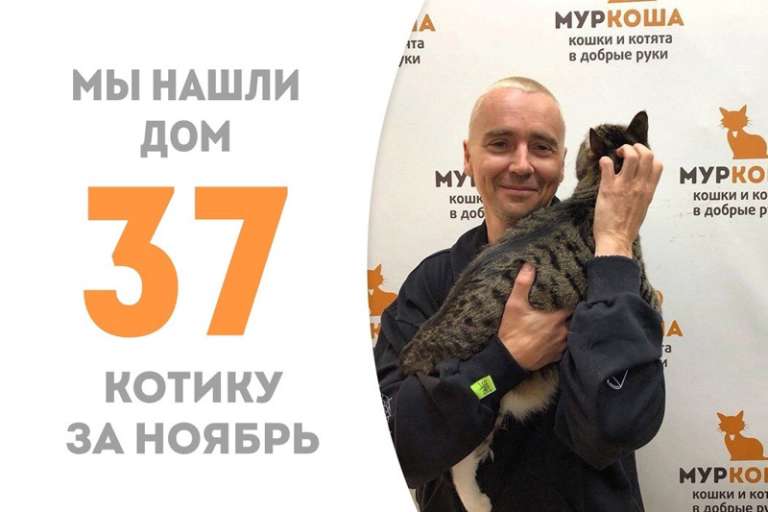 Милый Теба становится домашним!